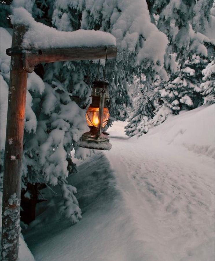 Chalet Blanc "La Mansarda" Courmayeur Exterior photo